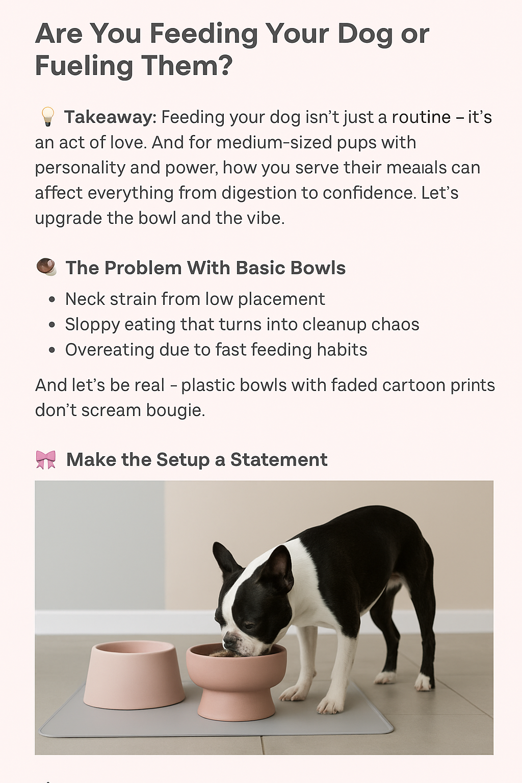 🍽️ Are You Feeding Your Dog or Fueling Them?