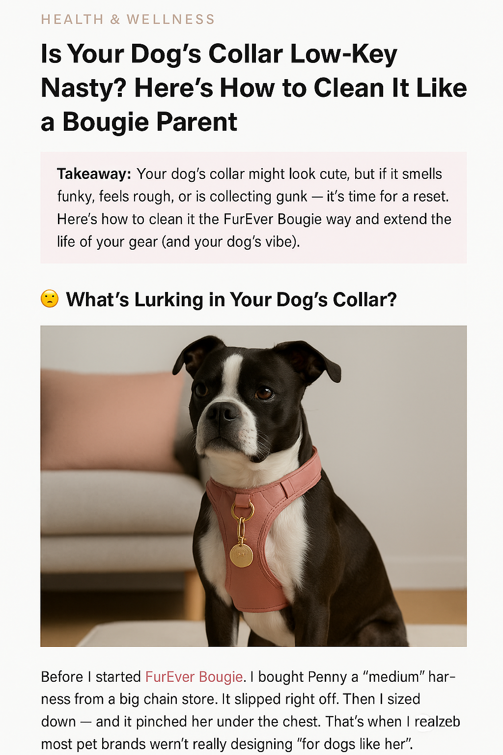 🧼 Is Your Dog’s Collar Low-Key Nasty? Here’s How to Clean It Like a Bougie Parent