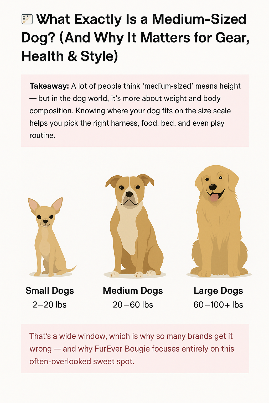 📏 What Exactly Is a Medium-Sized Dog? (And Why It Matters for Gear, Health & Style)